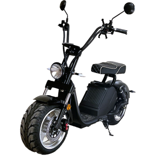 Tourenintwente_e chopperGTS11